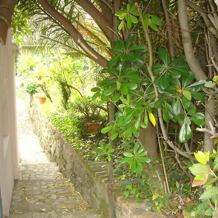 Sunflower Cosy Cottage Once Girasole Monterosso al Mare Bagian luar foto